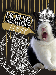 1038.gif